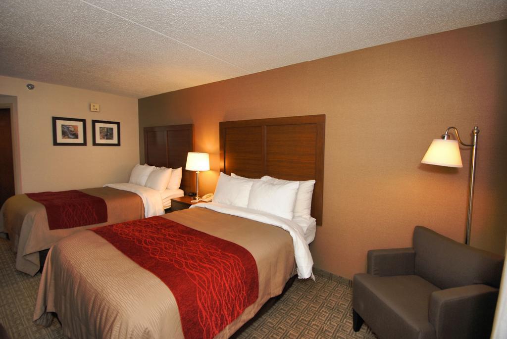 Comfort Inn Latham/Albany North Esterno foto